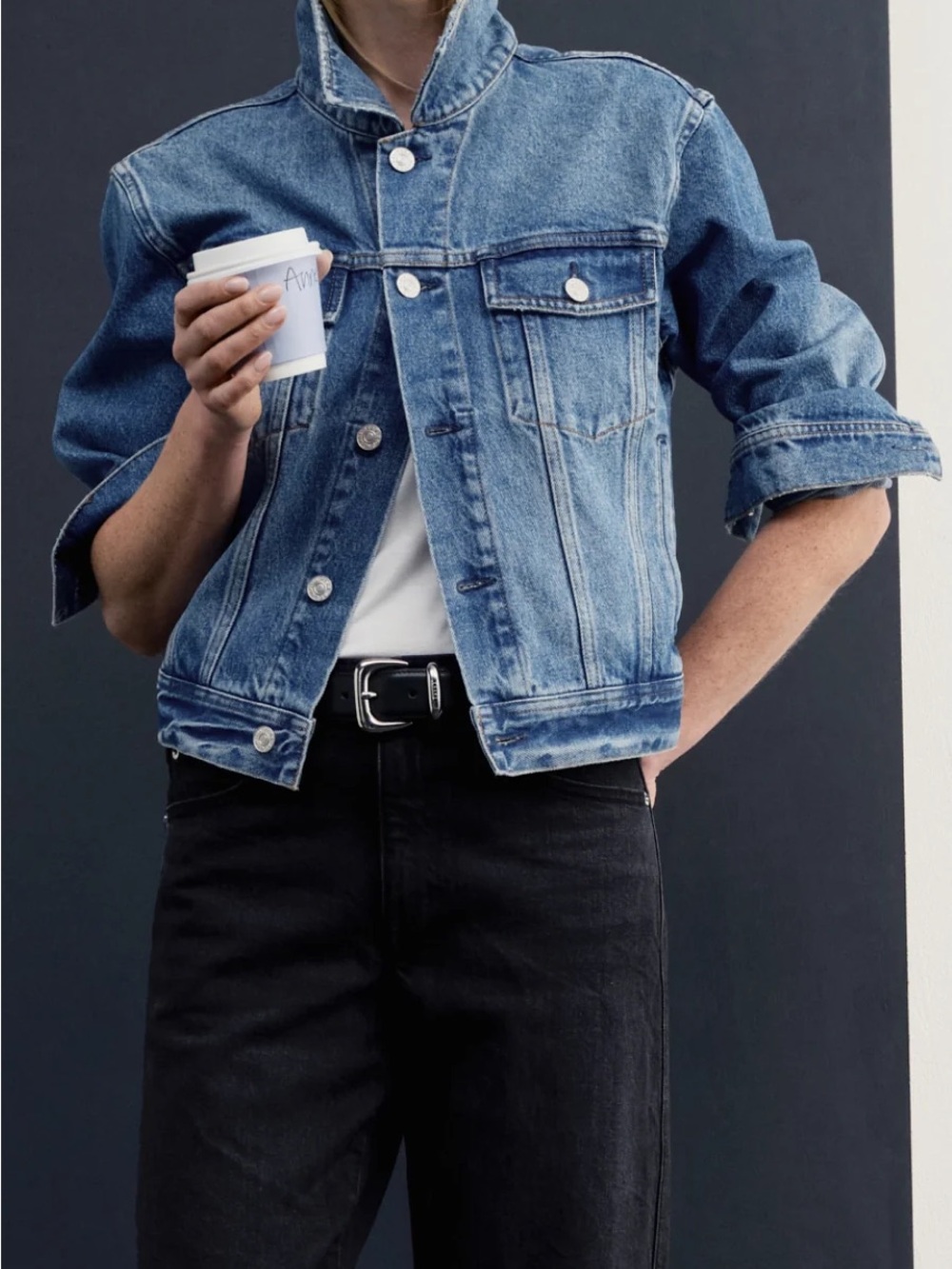 AYR The Ride or Fly denim jacket